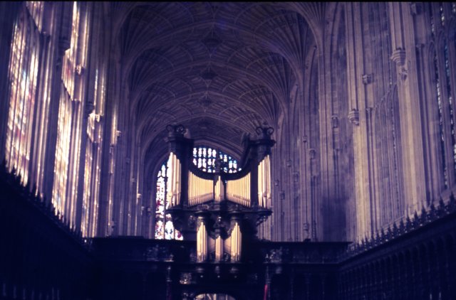 cambridge1981.jpg