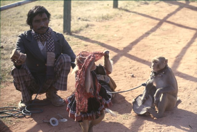 india19852.jpg